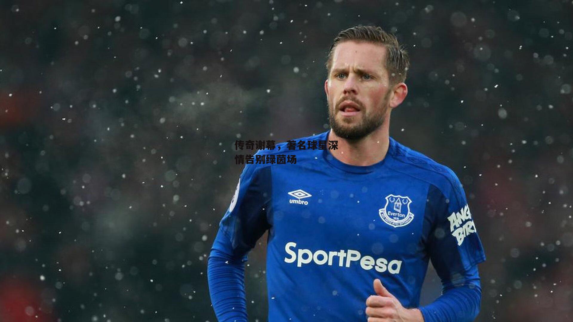 传奇谢幕,著名球星深情告别绿茵场