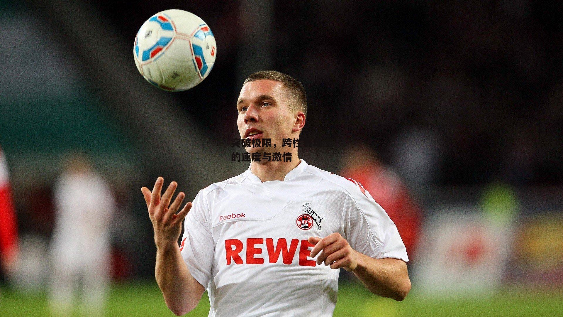 突破极限,跨栏赛场上的速度与激情