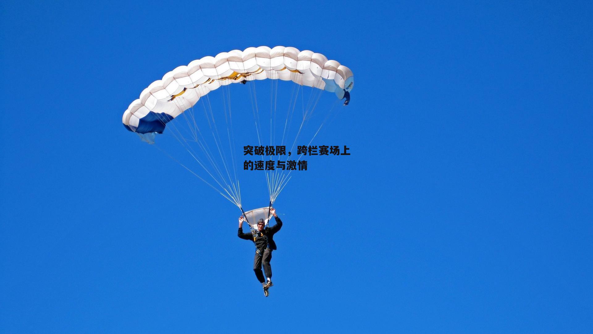 突破极限,跨栏赛场上的速度与激情
